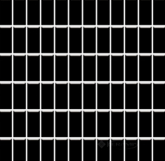 мозаїка Paradyz Altea (2,3х4,8) 30x30 nero