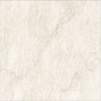 плитка Cerim Antique Marble 60x60 imperial marble_04 lucido (754716)