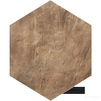 плитка Bestile Toscana Flamme Terre 25x29 brown mat