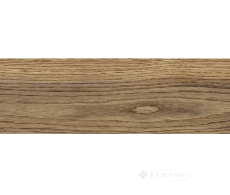 Плитка Paradyz Oldwood 20x60 honey gres struktura mat