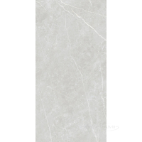 плитка TAU Ceramica Elite 60x120 silver matt rec