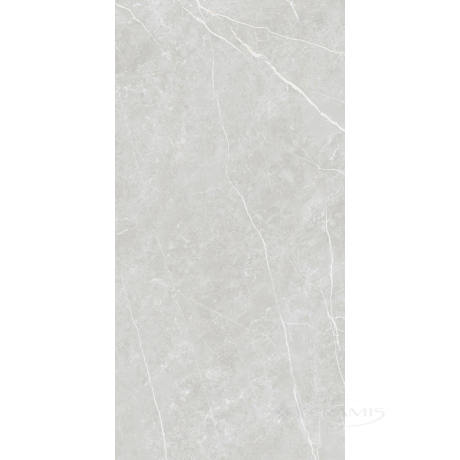 Плитка TAU Ceramica Elite 60x120 silver matt rec